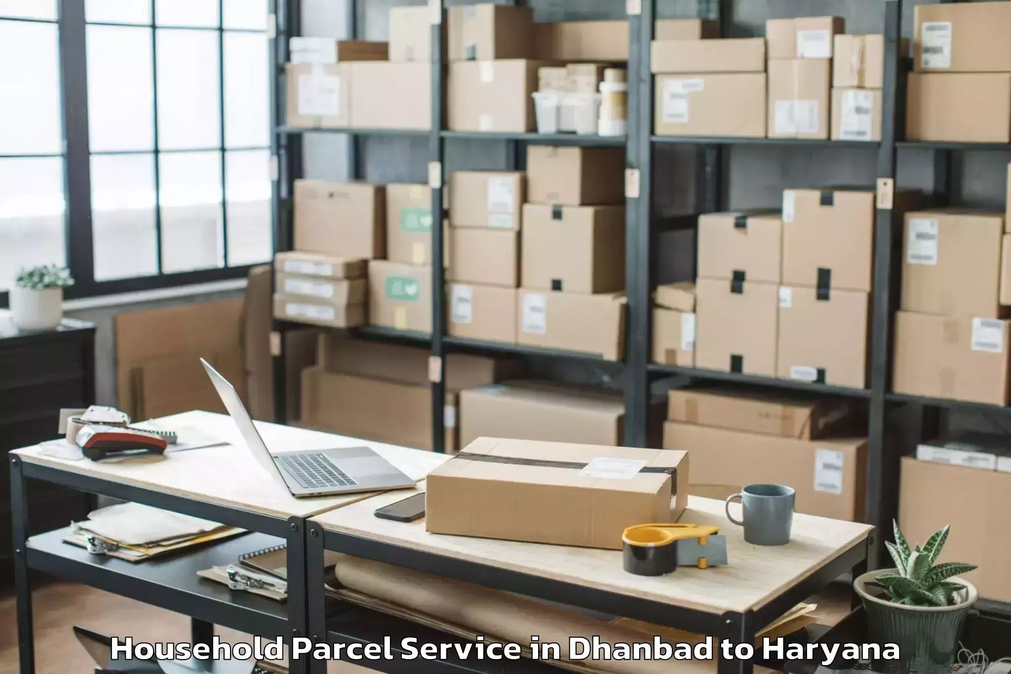 Book Your Dhanbad to Tosham Household Parcel Today